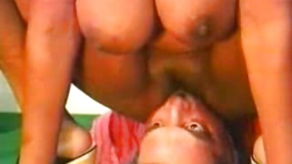 सेक्सी योनी भएको गोरोले तातो सानो समर्थक जस्तै कुकुर चाटिरहेको छ